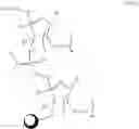 Fig. 127 - MODIFIED POLYNUCLEOTIDES FOR ALTERING CELL PHENOTYPE