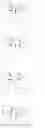 Fig. 13 - MODIFIED POLYNUCLEOTIDES FOR ALTERING CELL PHENOTYPE