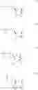 Fig. 31 - MODIFIED POLYNUCLEOTIDES FOR ALTERING CELL PHENOTYPE
