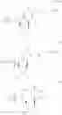 Fig. 61 - MODIFIED POLYNUCLEOTIDES FOR ALTERING CELL PHENOTYPE