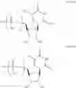 Fig. 74 - MODIFIED POLYNUCLEOTIDES FOR ALTERING CELL PHENOTYPE