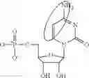 Fig. 94 - MODIFIED POLYNUCLEOTIDES FOR ALTERING CELL PHENOTYPE