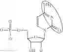 Fig. 96 - MODIFIED POLYNUCLEOTIDES FOR ALTERING CELL PHENOTYPE