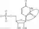 Fig. 98 - MODIFIED POLYNUCLEOTIDES FOR ALTERING CELL PHENOTYPE