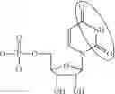 Fig. 99 - MODIFIED POLYNUCLEOTIDES FOR ALTERING CELL PHENOTYPE