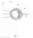 Fig. 06 - Polar body injection