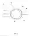 Fig. 07 - Polar body injection