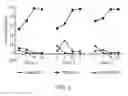Fig. 06 - Semi-static cell culture