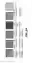 Fig. 04 - Production of red blood cells and platelets from stem cells
