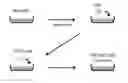 Fig. 01 - Xeno-free generation of tissue-specific progenitor cells
