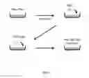 Fig. 02 - Xeno-free generation of tissue-specific progenitor cells