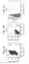 Fig. 06 - Use of small molecules to enhance MAFA expression in pancreatic endocrine cells