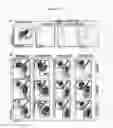 Fig. 19 - Method for the induction of arterial-type of hemogenic endothelium from hPSCS