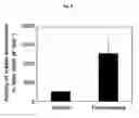Fig. 07 - NATURAL RUBBER POLYMERASE GENE AND USES THEREOF