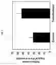 Fig. 08 - NATURAL RUBBER POLYMERASE GENE AND USES THEREOF
