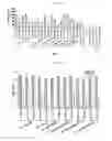 Fig. 03 - Staphylococcus lysin and use thereof