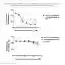 Fig. 06 - CELL-TARGETING MOLECULES COMPRISING AMINO-TERMINUS PROXIMAL OR AMINO-TERMINAL, SHIGA TOXIN A SUBUNIT EFFECTOR REGIONS