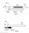 Fig. 09 - ERROR-PROOF NUCLEIC ACID LIBRARY CONSTRUCTION METHOD AND KIT