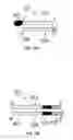 Fig. 12 - ERROR-PROOF NUCLEIC ACID LIBRARY CONSTRUCTION METHOD AND KIT