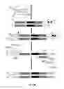 Fig. 14 - ERROR-PROOF NUCLEIC ACID LIBRARY CONSTRUCTION METHOD AND KIT