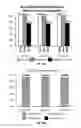 Fig. 23 - ERROR-PROOF NUCLEIC ACID LIBRARY CONSTRUCTION METHOD AND KIT