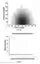 Fig. 25 - ERROR-PROOF NUCLEIC ACID LIBRARY CONSTRUCTION METHOD AND KIT