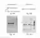 Fig. 17 - SELF-TARGETING GENOME EDITING SYSTEM