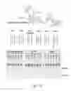 Fig. 19 - SELF-TARGETING GENOME EDITING SYSTEM