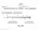 Fig. 43 - SELF-TARGETING GENOME EDITING SYSTEM