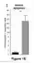 Fig. 06 - USE OF THERAPEUTIC AGENTS