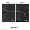 Fig. 10 - USE OF THERAPEUTIC AGENTS