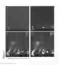 Fig. 27 - ETS factors regulate neural stem cell depletion and gliogenesis in Ras pathway glioma