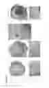 Fig. 29 - ETS factors regulate neural stem cell depletion and gliogenesis in Ras pathway glioma