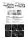 Fig. 03 - METHODS AND COMPOSITIONS FOR PROMOTING HAIR GROWTH