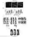 Fig. 06 - METHODS AND COMPOSITIONS FOR PROMOTING HAIR GROWTH