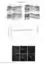 Fig. 08 - METHODS AND COMPOSITIONS FOR PROMOTING HAIR GROWTH
