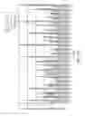 Fig. 66 - Methods and compositions for the specific inhibition of glycolate oxidase (HAO1) by double-stranded RNA