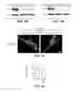 Fig. 12 - USP30 INHIBITORS AND METHODS OF USE