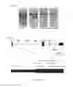 Fig. 26 - THERAPEUTIC USES OF GENOME EDITING WITH CRISPR/Cas SYSTEMS