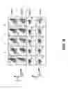 Fig. 12 - Modulating expression of polypeptides via new gene switch expression systems
