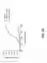 Fig. 66 - Modulating expression of polypeptides via new gene switch expression systems