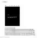 Fig. 09 - Replicative minicircle vectors with improved expression