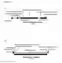 Fig. 13 - Replicative minicircle vectors with improved expression