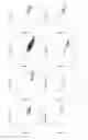 Fig. 82 - Stabilising fatty acid compositions