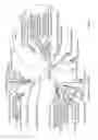 Fig. 50 - PLANTS HAVING ENHANCED YIELD-RELATED TRAITS AND PRODUCING METHODS THEREOF