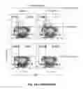 Fig. 28 - HIV pre-immunization and immunotherapy