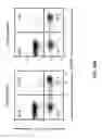 Fig. 38 - HIV pre-immunization and immunotherapy