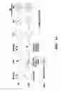 Fig. 02 - METHODS AND COMPOSITIONS TO INCREASE HUMAN SOMATIC CELL NUCLEAR TRANSFER (SCNT) EFFICIENCY BY REMOVING HISTONE H3-LYSINE TRIMETHYLATION, AND DERIVATION OF HUMAN NT-ESC