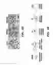 Fig. 07 - METHODS AND COMPOSITIONS TO INCREASE HUMAN SOMATIC CELL NUCLEAR TRANSFER (SCNT) EFFICIENCY BY REMOVING HISTONE H3-LYSINE TRIMETHYLATION, AND DERIVATION OF HUMAN NT-ESC