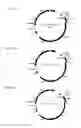 Fig. 04 - Linalool composition and method of producing therefor